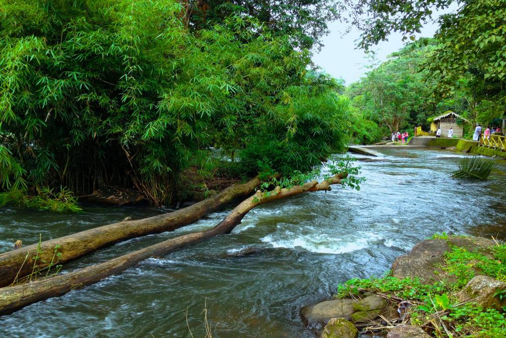 Vazhachal Falls